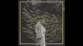 Forest Swords  Ljoss [upl. by Attenad578]