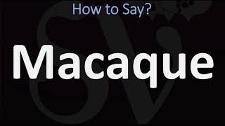 How to Pronounce Macaque CORRECTLY [upl. by Oznecniv]