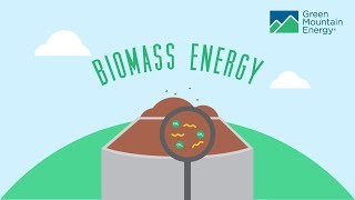 Renewable Energy 101 How Does Biomass Energy Work [upl. by Ocsinarf194]