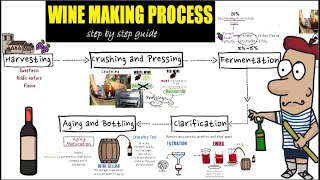 Wine making process step by step Detail guide of wine makingpreparation and making of wine [upl. by Annahpos532]