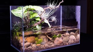 DIY Pond Themed Nano Riparium [upl. by Ayim]