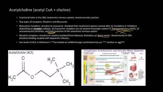 Neurotransmitters Acetylcholine  Receptors [upl. by Fiora]