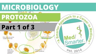 Protozoa  Microbiology  USMLE STEP 1  Part 1 of 3 [upl. by Shiri]