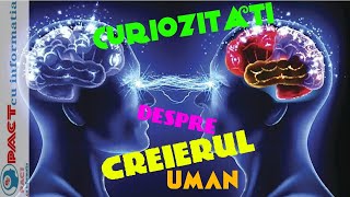 50 De Curiozitati Fascinante Despre Creierul Uman [upl. by Nirret]