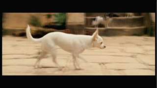 Beverly Hills Chihuahua  Temple of the Dog Clip [upl. by Osnofedli246]