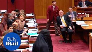 Pauline Hanson wears a burqa into the Australian Senate  Daily Mail [upl. by Eicirtap]