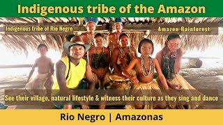 Brazil Travel  Indigenous tribe of the Amazon [upl. by Noillimaxam]