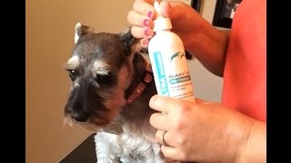 How to clean your dogs ears [upl. by Winther]