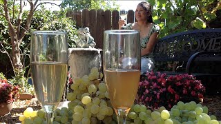 How To Make White WineFermenting Grapes To Alcohol Recipe [upl. by Kilar746]