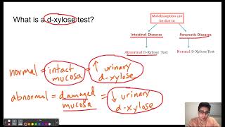 DXylose test [upl. by Clippard]