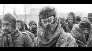 Stalingrad 1943 Warum 95 Prozent der Kriegsgefangenen starben [upl. by Eirotal]