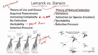 1221 Darwin v Lamarck [upl. by Anayi]