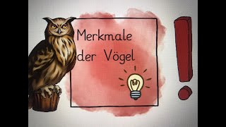 erklärt grundlegende Merkmale der Vögel [upl. by Dilisio]