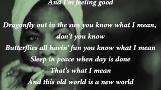 Nina Simone  Feeling Good Lyrics [upl. by Tnarg]