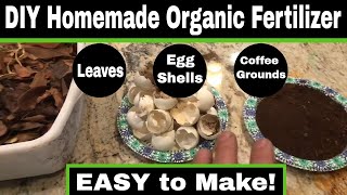 Easy DIY Homemade Organic Garden Fertilizer [upl. by Cranford]