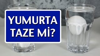 Yumurta Taze mi Bayat mı Nasıl Anlaşılır [upl. by Ehtylb]