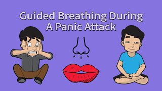 Guided Breathing Exercise Meditation Panic Attacks amp Anxiety [upl. by Johan]