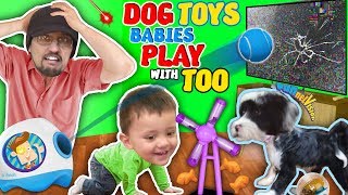 DOG TOYS vs TV FUNnel Family Vlog [upl. by Amaral]