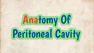 Anatomy of Peritoneal Cavity [upl. by Annoid]