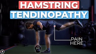 Proximal Hamstring Tendinopathy Rehab 4 Stages [upl. by Ibby]