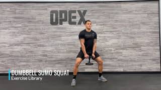 Dumbbell Sumo Squat [upl. by Rebane]