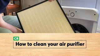 How to Clean an Air Purifier  Consumer Reports [upl. by Orpheus]