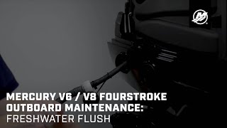 Mercury V6  V8 FourStroke Outboard Maintenance Freshwater Flush [upl. by Irod706]