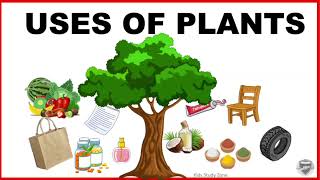 Uses of Plants for kids  Use of Plants  Plants and their uses [upl. by Kushner177]