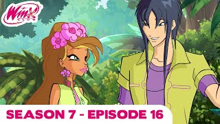 Winx Club  FULL EPISODE  Back To Paradise Bay  Season 7 Episode 16 [upl. by Averyl]