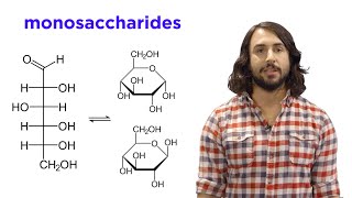 Carbohydrates Part 1 Simple Sugars and Fischer Projections [upl. by Taro]