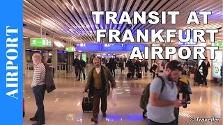 TRANSIT WALK AT FRANKFURT Airport FRA Terminal 1  Connection Flight Transfer Arriving amp Departing [upl. by Odraude]