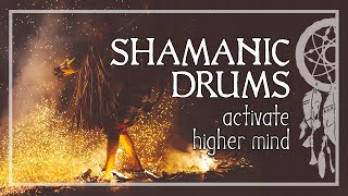 SHAMANIC JOURNEY • Activate Your Higher Mind • Shaman Drums • Trance and Meditation [upl. by Madeleine]