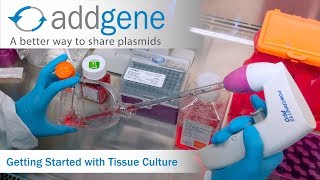 Getting Started with Tissue Culture [upl. by Waters]