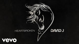 David J  Heartbroken Official Audio [upl. by Ettezil]