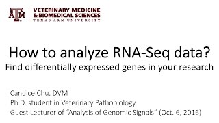 How to analyze RNASeq data Find differentially expressed genes in your research [upl. by Hgielsel]