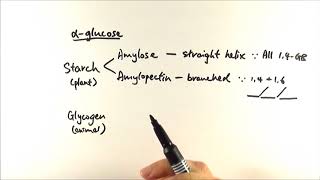 AS Biology  αglucose structures OCR A Chapter 33 [upl. by Aitercal]