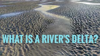 What is a rivers delta [upl. by Ayhtnic669]