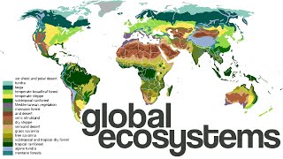 What are Global EcosystemsBiomes [upl. by Daggett]