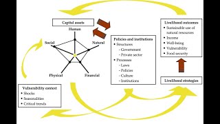 Sustainable Livelihood Framework [upl. by Aicertal]