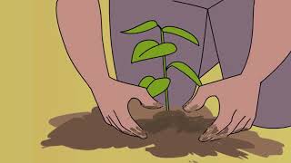 Animated Tree Plantation [upl. by Kcoj]