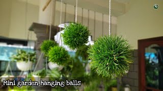 Mini hanging balls  easy garden hanging ideas  easy garden techniques [upl. by Ardelia]